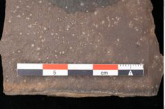 Foto (Detailsansicht) von Quercus palaeoilex Ettingshausen (NHMW-GEO-2024-0188-0876)